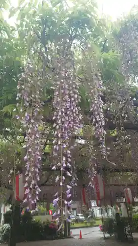 徳王稲荷社・金刀比羅社(愛知県)