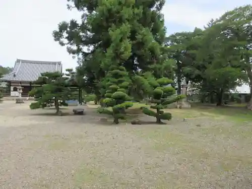 野中寺(大阪府)