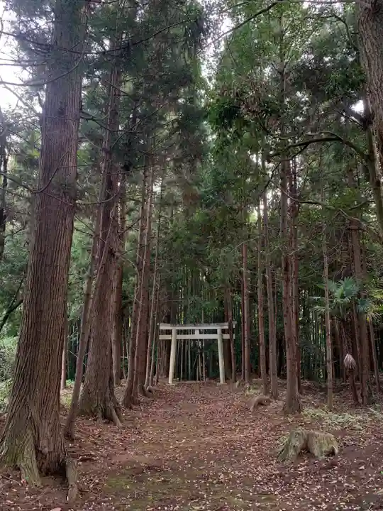 神明神社(千葉県)