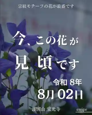 宝光寺(北海道)