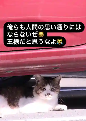 専念寺(大阪府)