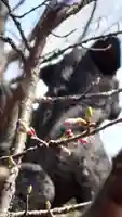 相馬神社の自然