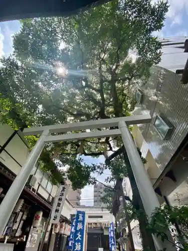 高松神明神社の鳥居