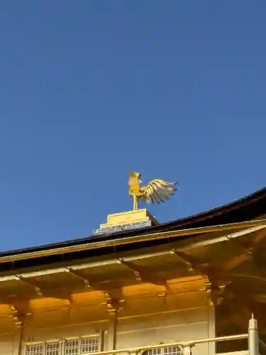 鹿苑寺（金閣寺）の{uncategorized: "未分類", other: "その他", undefined: "問題あり", building: "その他建物", grave: "お墓", sacred_gate: "鳥居", guardian: "狛犬", statue: "像", buddha: "仏像", history: "歴史", nature: "自然", garden: "庭園", animal: "動物", pagoda: "塔", temizu: "手水舎", mountain_gate: "山門・神門", sanctuary: "本殿・本堂", subordinate: "末社・摂社", art: "芸術", scenery: "景色", jizo: "地蔵", ema: "絵馬", goshuin: "御朱印", omikuji: "おみくじ", items: "授与品その他", amulet: "お守り", goshuincho: "御朱印帳", eats: "食事", festival: "お祭り", votive_dance: "神楽", shichigosan: "七五三参", wedding: "結婚式", experience: "体験その他", initially: "初詣", around: "周辺", anti_infection: "感染症対策"}