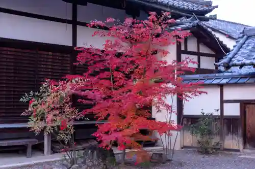 今宮神社の自然