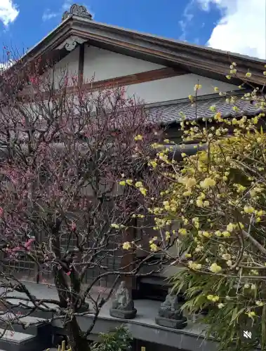 修禅寺(静岡県)