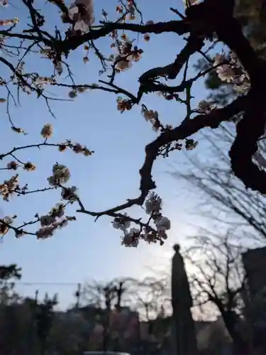 蓮華寺(東京都)