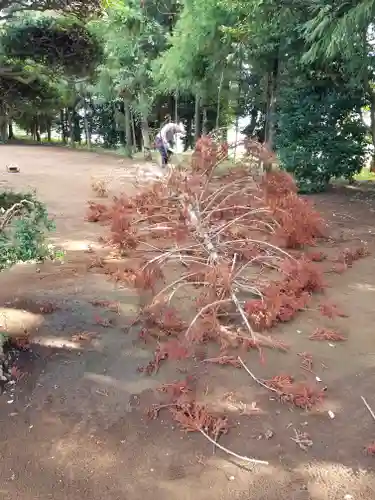 伏木香取神社のその他建物