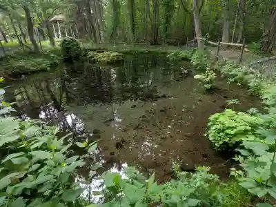 来運神社(北海道)