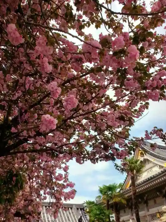 荘厳寺(東京都)