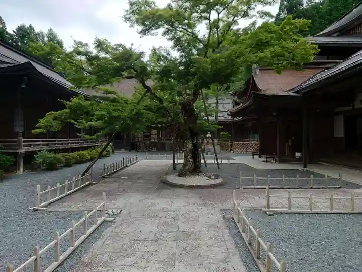 龍泉院のその他建物