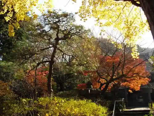 安國論寺（安国論寺）の自然