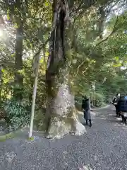 伊勢神宮外宮（豊受大神宮）(三重県)