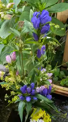 宝蔵寺(京都府)