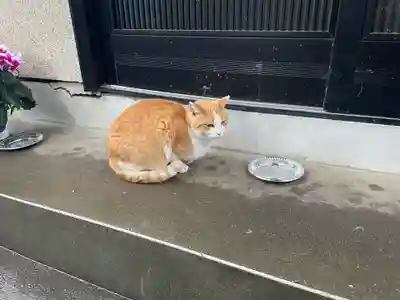 威光稲荷堂(東京都)