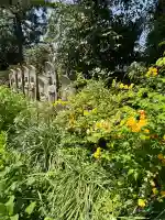 般若寺 ❁コスモス寺❁(奈良県)