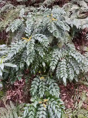 尾張冨士大宮浅間神社(愛知県)