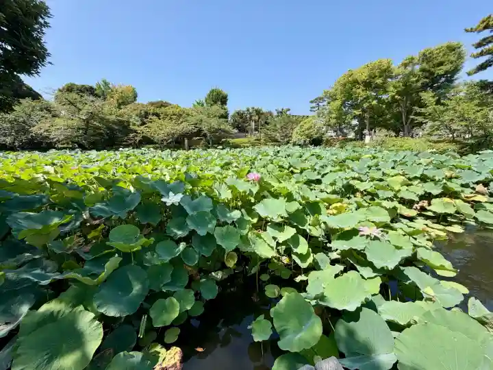 旗上弁財天社(神奈川県)