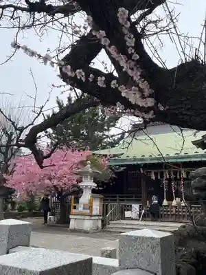 新宿下落合氷川神社(東京都)