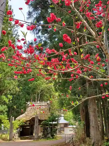 観音寺の景色