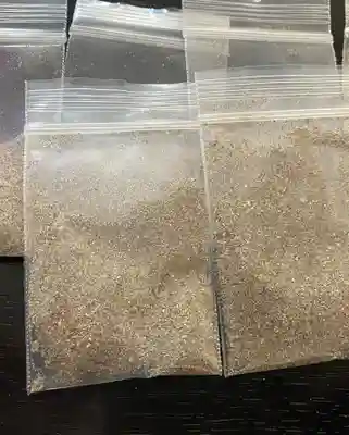 出雲大社(島根県)