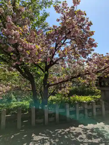 六孫王神社(京都府)