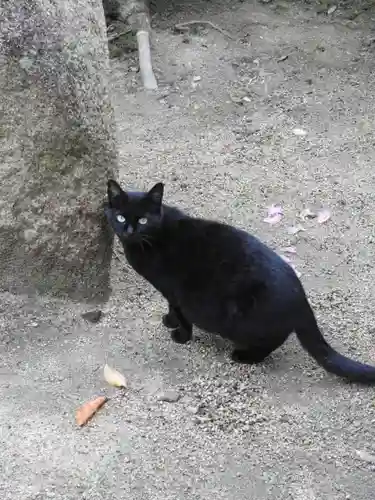 法隨稲荷大明王の動物