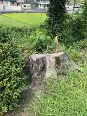 薬仙寺廃寺の自然