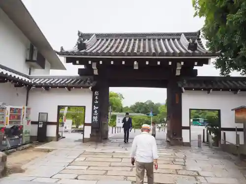 知恩院の山門