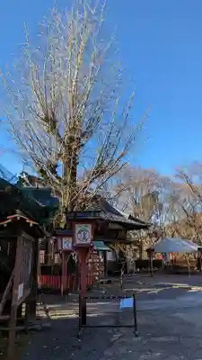 松ヶ崎大黒天 妙圓寺（妙円寺）(京都府)
