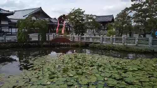 圓照寺のその他建物