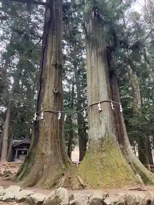 河口浅間神社(山梨県)
