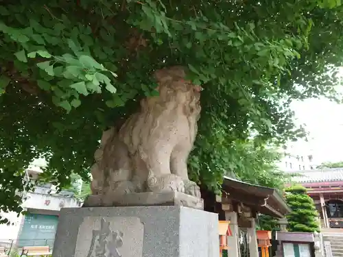 前橋八幡宮の狛犬