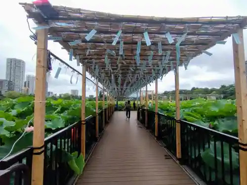 寛永寺不忍池弁天堂(東京都)