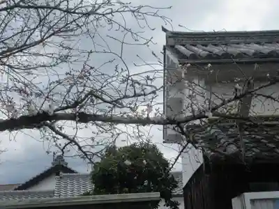 善名称院（真田庵）(和歌山県)