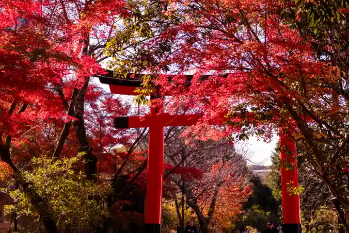 宇治上神社(京都府)