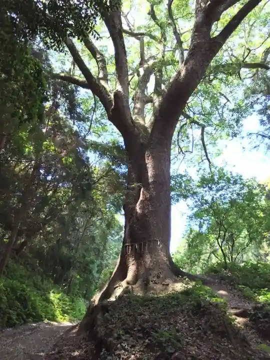 桜井大神宮(福岡県)