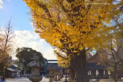 靖國神社(東京都)