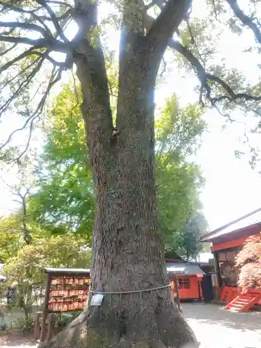 冠稲荷神社(群馬県)