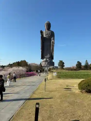 東本願寺本廟 牛久浄苑（牛久大仏）(茨城県)