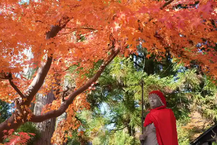 高野山金剛峯寺奥の院(和歌山県)