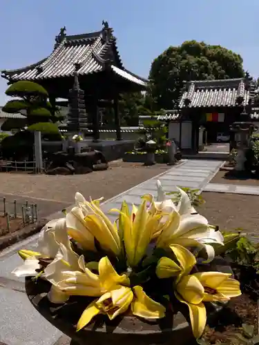真言宗　善通寺派　薬王寺(香川県)