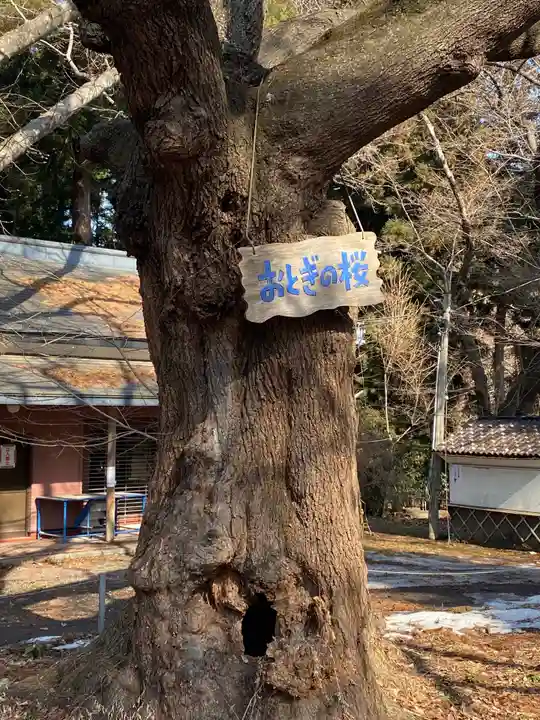 長者山新羅神社の自然
