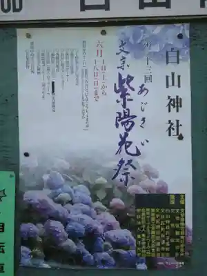 白山神社のお祭り