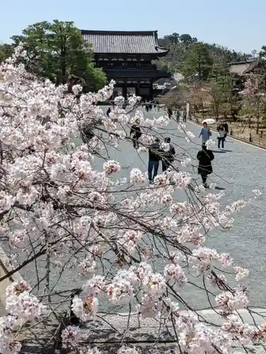 仁和寺(京都府)