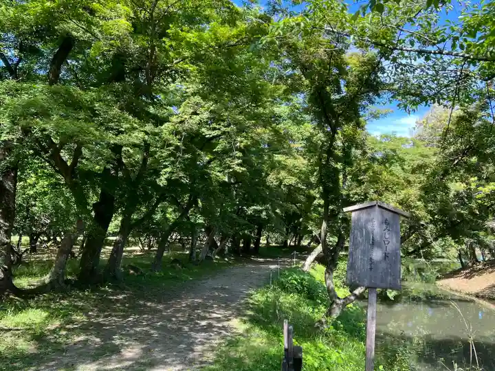 大覚寺(京都府)