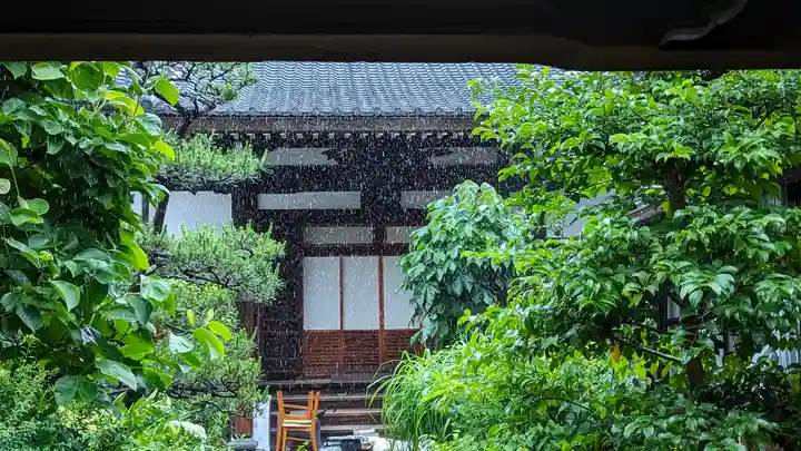 真導寺(京都府)