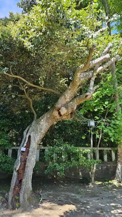 大洗磯前神社(茨城県)