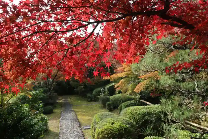 善法律寺の自然