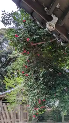 旦椋神社(京都府)